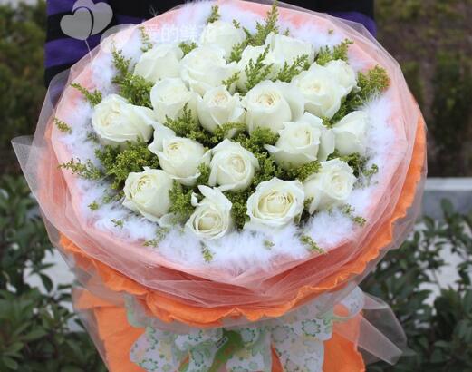 道歉送什么花，給女朋友道歉送花