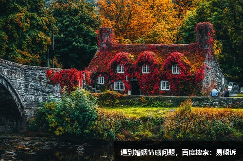 慧娟心理咨詢-陪伴你走過生命中幽谷，綻放你的光芒