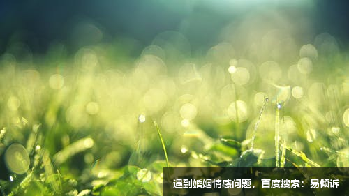 鄭老師心理咨詢師-擅長兩性心理、情緒疏導、情緒壓力、親子教育、心理健康