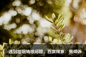 音樂才子竇唯的一生毀于王菲？