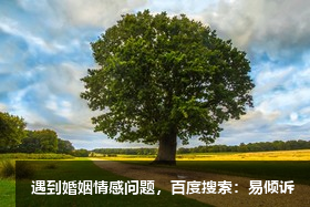 朱志慧心理咨詢師/傾訴師-客觀溫和、清晰簡潔