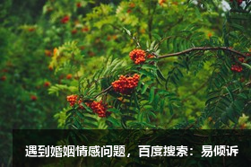 張鋆心理咨詢(xún)師/傾訴師，擅長(zhǎng)解決婚姻家庭中的關(guān)系