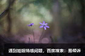 90后00后這一代年輕人為什么越來越拒絕結(jié)婚生孩子？