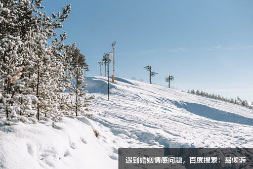 白蘇妤心理咨詢(xún)師/傾訴師-將傷痛化為翱翔天際的翅膀