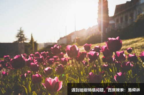 沈楠樺心理咨詢師/傾訴師-穩(wěn)定包容，親切溫和