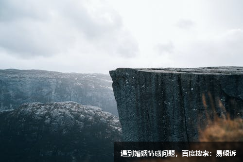 李菊紅心理咨詢師-擅長經(jīng)典精神分析，自體心理學 ，意象對話