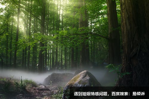 韓慧影心理咨詢師，擅長(zhǎng)人際關(guān)系溝通不暢等問題