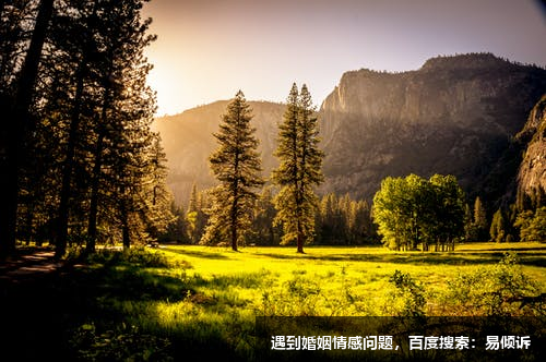 雷靜心理咨詢師/傾訴師-婚姻家庭協(xié)會熱線電話咨詢師