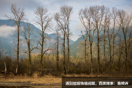 張旭冉心理咨詢師/傾訴師，了解個(gè)人成長(zhǎng)和個(gè)人發(fā)展發(fā)生的問題