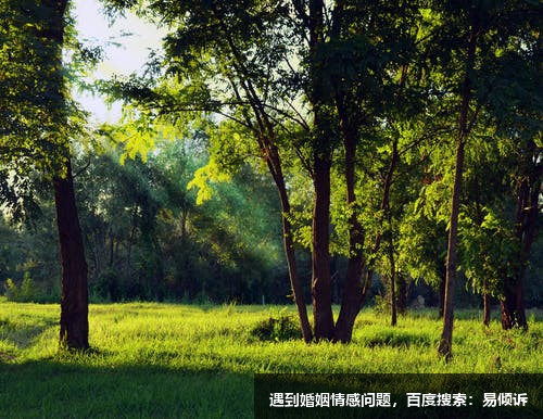 彭燭璇心理咨詢師/傾訴師，擅長(zhǎng)情緒管理等方面的問題