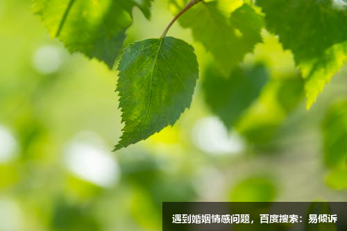 陽(yáng)光心理咨詢師-擅長(zhǎng)話題：情感挽回、婚姻關(guān)系、職場(chǎng)減壓、職業(yè)規(guī)劃等問題