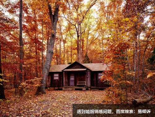 金俐延（金艷芬）心理咨詢師-擅長經(jīng)典精神分析，自體心理學(xué) ，認(rèn)知行為療法，人本主義取向