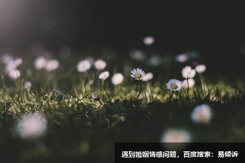 劉杍晨心理咨詢師/傾訴師-在黑暗中燃起一點光亮