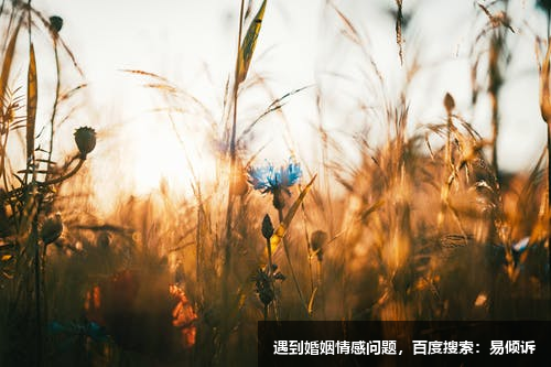 愛他就給他個(gè)臺(tái)階下吧