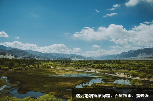 【王仕煌】國(guó)家二級(jí)心理咨詢師-擅長(zhǎng)婚姻家庭婆媳關(guān)系、婚姻危機(jī)