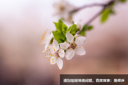 《紅樓夢(mèng)》里賈政為何會(huì)看上趙姨娘