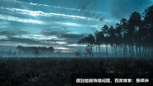 行者心理咨詢-擅長 人際關(guān)系、學(xué)業(yè)職場、婚姻戀愛、家庭困擾、親子教育