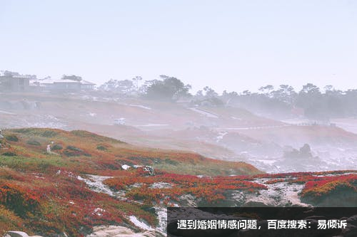 沈楊千心理咨詢師/傾訴師-溫和專業(yè)，敏銳耐心