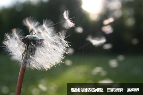 門當(dāng)戶對(duì)到底有多重要：一男三女的愛情故事