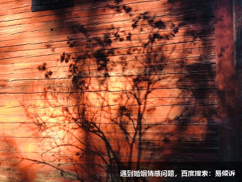 朱曉琳心理咨詢師-擅長情緒管理抑郁、焦慮、無價值感、情緒失控/沖動、壓抑