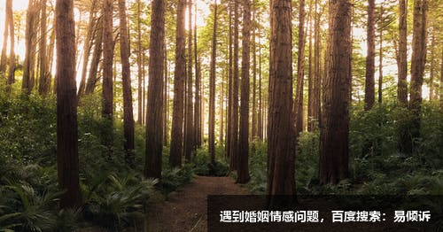 曉霞心理咨詢師-一對一指導(dǎo)，讓你看清造成困擾的本質(zhì)