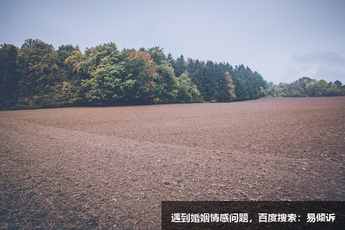 汲新波心理咨詢師-分析心理學，沙盤療法，表達性藝術治療