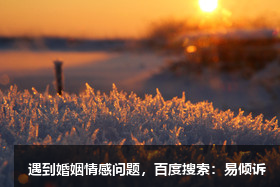 趙燕青心理咨詢師/傾訴師-溫和堅定、與愛相隨