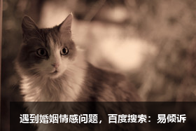 童利紅心理咨詢師/傾訴師-親和穩(wěn)定、開放包容