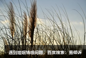 蒙西娟心理咨詢師/傾訴師，具有豐富的情感咨詢經(jīng)驗(yàn)