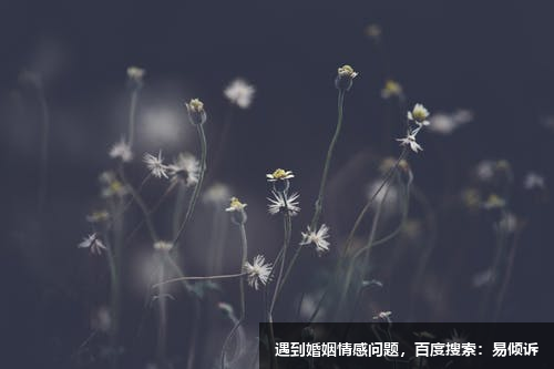 馬紅菊心理咨詢師/傾訴師-陪伴你一點(diǎn)點(diǎn)找到光明