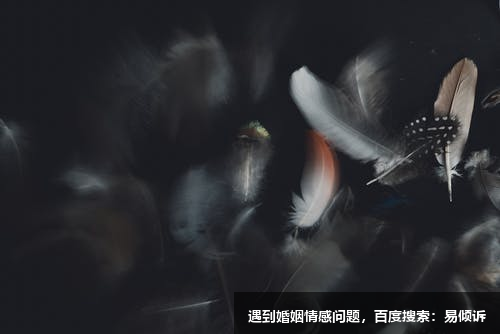 苗苗心理咨詢師-擅長人際關(guān)系、學(xué)業(yè)職場、家庭困擾、情緒壓力、婚姻戀愛