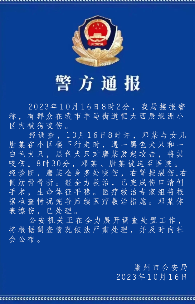成都女童遭烈犬撕咬事件：必須將狗主人繩之以法！