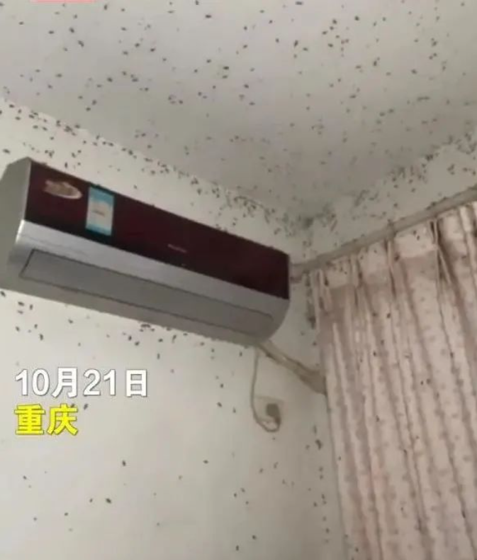 重慶一女租客退租后留半人高垃圾，現(xiàn)場(chǎng)畫(huà)面慘不忍睹...