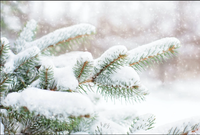 下雪了說幾句暖心的話，不妨收藏起來慢慢看！