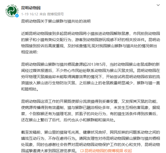 昆明“猴子虐貓事件”持續(xù)發(fā)酵，背后需要思考什么？