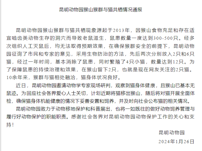 昆明“猴子虐貓事件”持續(xù)發(fā)酵，背后需要思考什么？