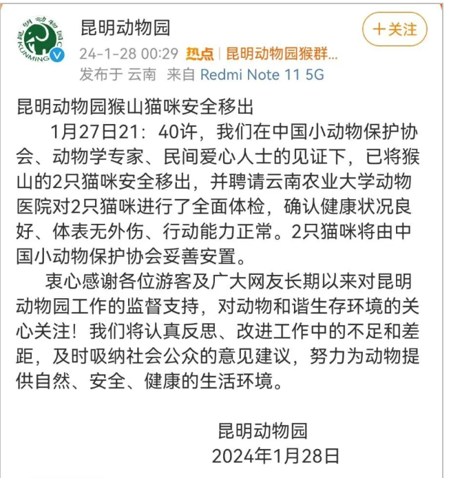 昆明“猴子虐貓事件”持續(xù)發(fā)酵，背后需要思考什么？