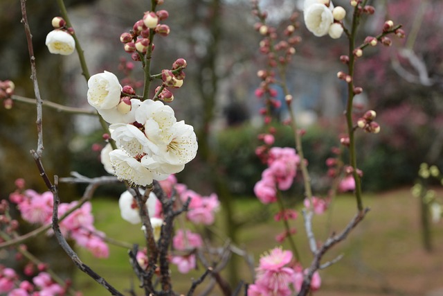 提升情緒價(jià)值，讓親密關(guān)系更上一層樓